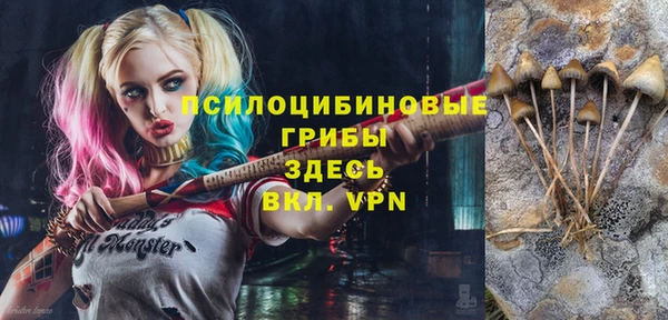 трава Магадан