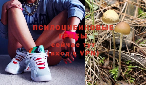 трава Магадан